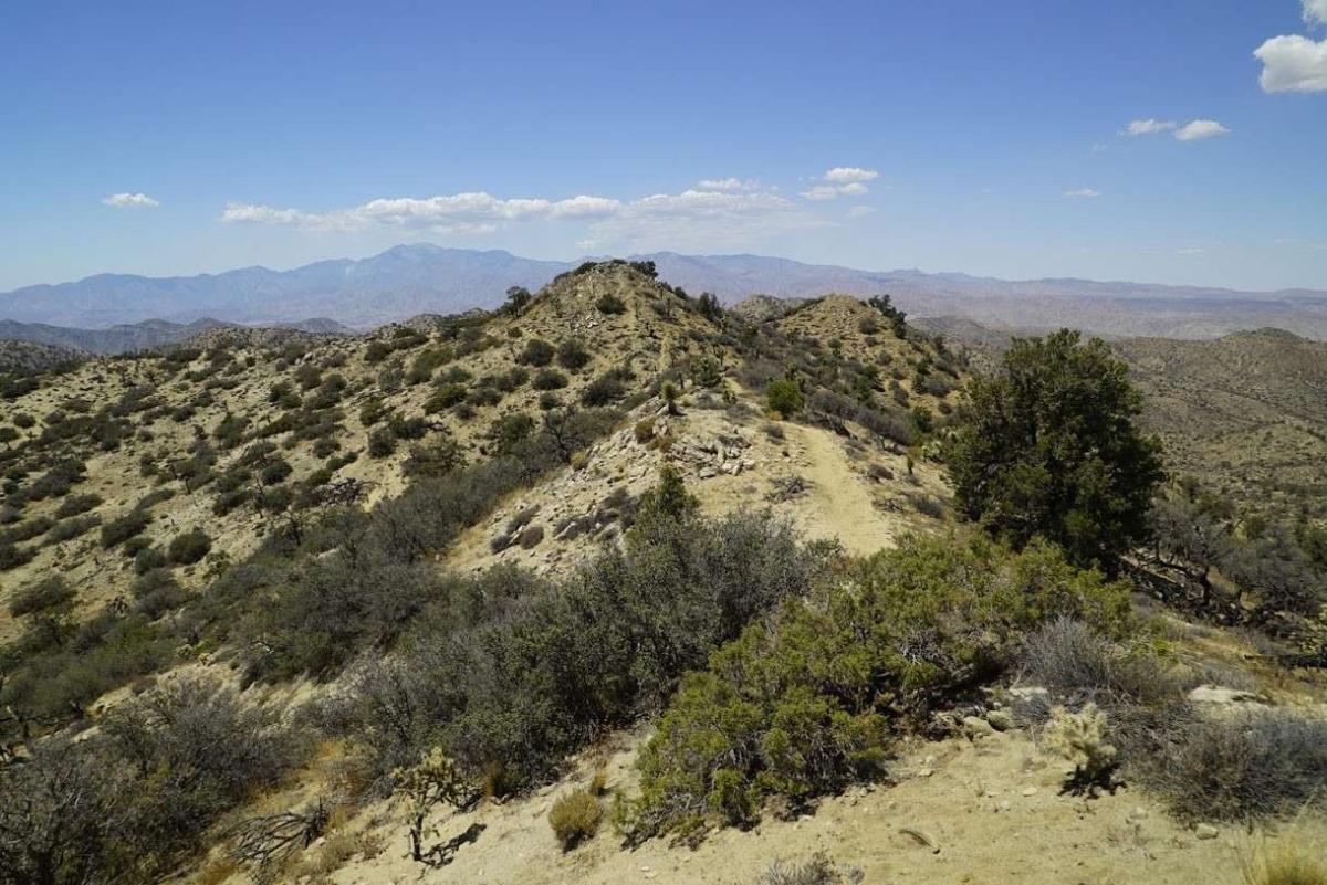 Warren Peak