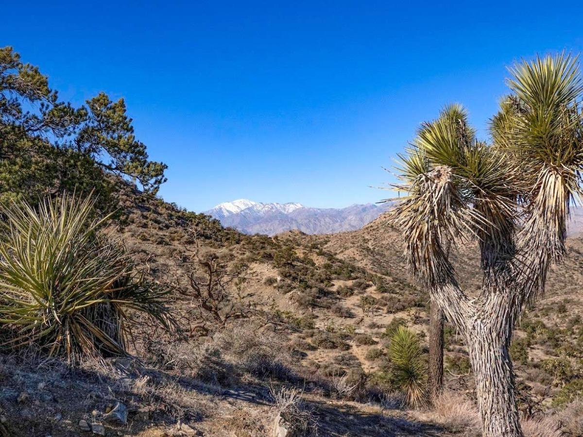 Panorama Loop Trailhead
